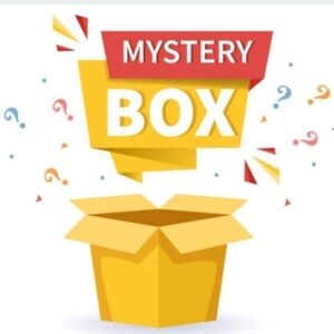 Grab Bag Mystery Box Women’s Clothing Size Small Medium Large 4 Items